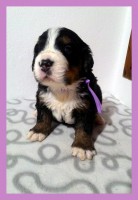 /album/a3-tyzden-3rd-week/kolaz-iii-9-2-jpg/